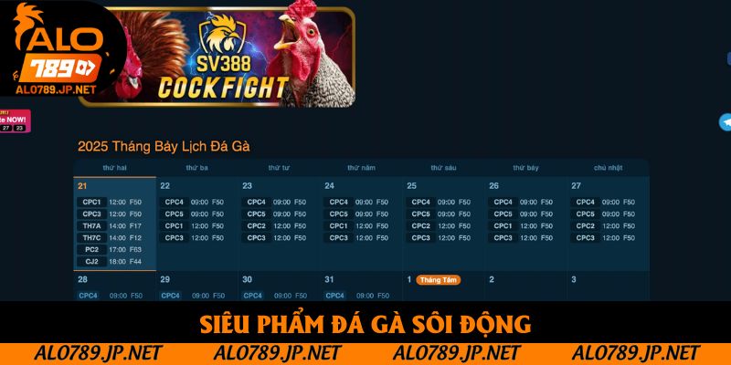 TRANG CHỦ 43 Siêu phẩm đá gà sôi động
